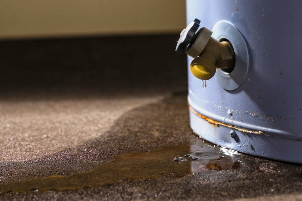 Best Emergency water extraction  in Riesel, TX