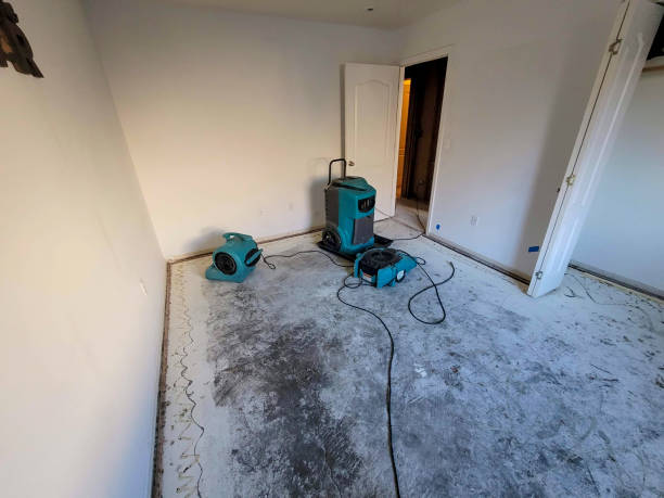 Best Local water damage restoration  in Riesel, TX