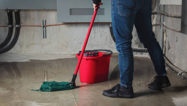 Best Professional water damage repair  in Riesel, TX