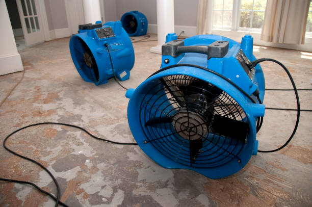 Best Water damage contractors near me  in Riesel, TX