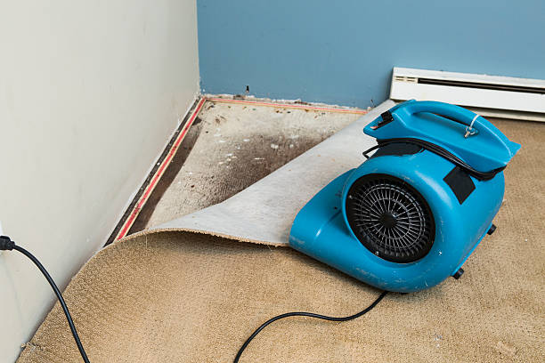 Best Water damage cleanup near me  in Riesel, TX